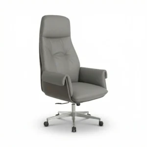 ZIENO OBSIDIAN Yönetici Koltuğu