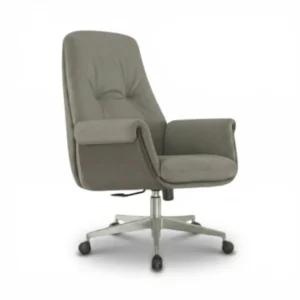 ZIENO OBSIDIAN Çalışma Koltuğu