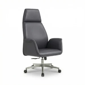 ZIENO AURAS Yönetici Koltuğu