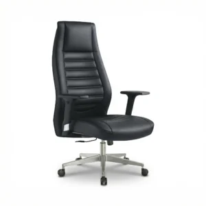 ZIENO EDGE Yönetici Koltuğu