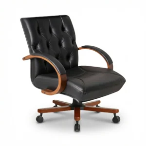 ZIENO LORD Çalışma Koltuğu