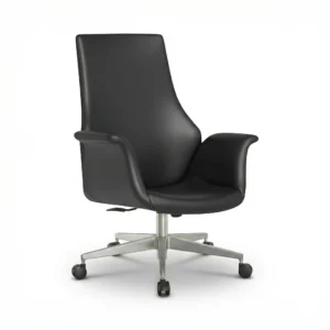 ZIENO SENATOR Çalışma Koltuğu