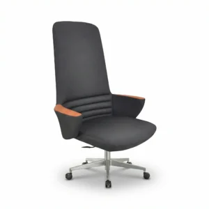 ZIENO BICOLOR Yönetici Koltuğu