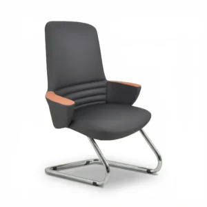 ZIENO BICOLOR Misafir Koltuğu