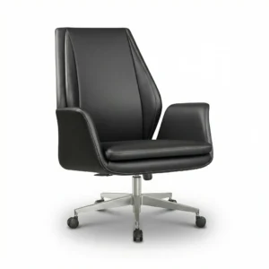 ZIENO ARISTOCRAT Çalışma Koltuğu