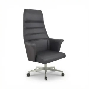 ZIENO ORBIT Yönetici Koltuğu