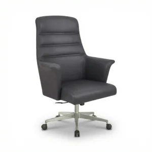 ZIENO ORBIT Çalışma Koltuğu