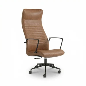 ZIENO AREA Yönetici Koltuğu