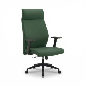 ZIENO MOMENTUM Yönetici Koltuğu