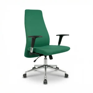 ZIENO CANVAS Yönetici Koltuğu