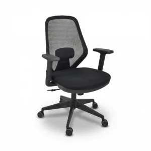 ZIENO BIXI Çalışma Koltuğu