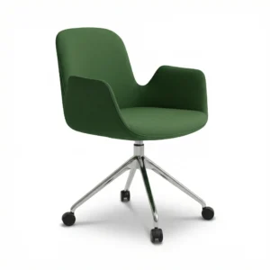 ZIENO CARE Şef Koltuğu