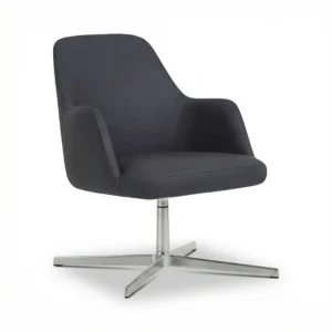 ZIENO CASE Misafir Koltuğu