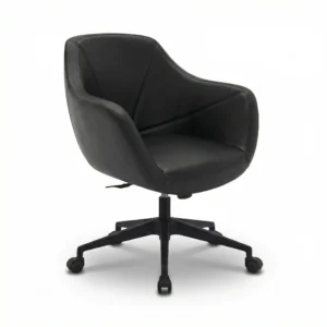 ZIENO WAG Çalışma Koltuğu